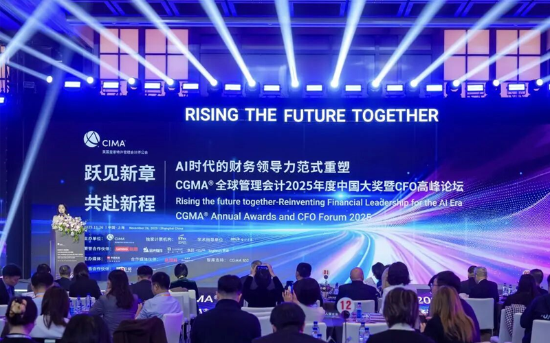 玩彩网荣膺2025 CGMA“年度最佳治剖析计实践奖”
